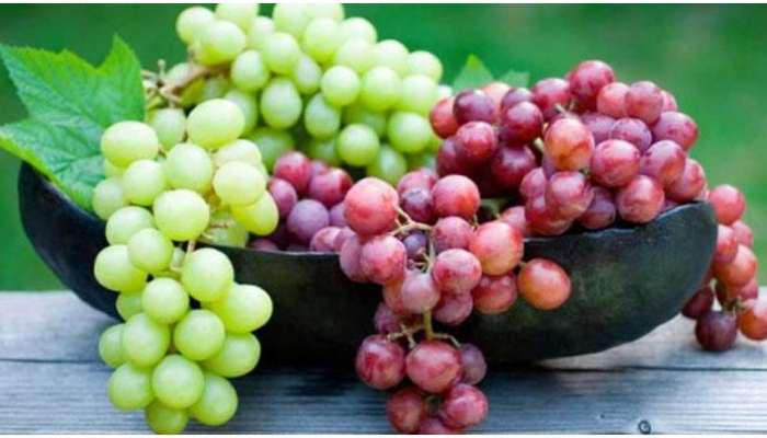 Benefits of Grapes: പ്രമേഹം മുതൽ ക്യാൻസർ വരെ..; പല രോഗങ്ങൾക്കും മുന്തിരി ഔഷധമാണ്!