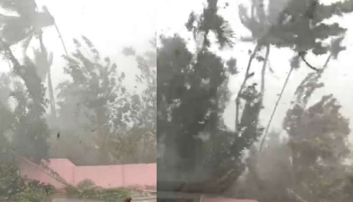 Rain Alert: സംസ്ഥാനത്ത് പരക്കെ മഴയ്ക്ക് സാധ്യത; പത്തനംതിട്ടയിലും ഇടുക്കിയിലും യെല്ലോ അലർട്ട്