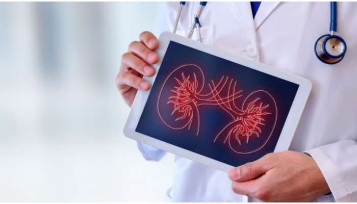 Kidney: വൃക്ക രോഗങ്ങളെ പേടിക്കണം; ആദ്യ ലക്ഷണങ്ങൾ അറിഞ്ഞിരിക്കേണ്ടത് പ്രധാനം!