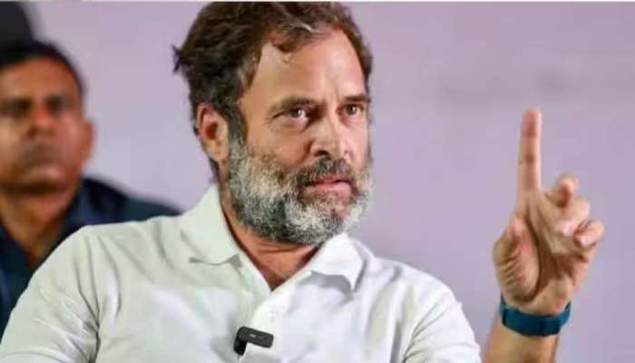 Rahul Gandhi Defamation Case : രാഹുൽ ഗാന്ധിക്ക് ജാമ്യം; രണ്ട് വർഷം ജയിൽ ശിക്ഷ വിധിക്ക് സ്റ്റേ