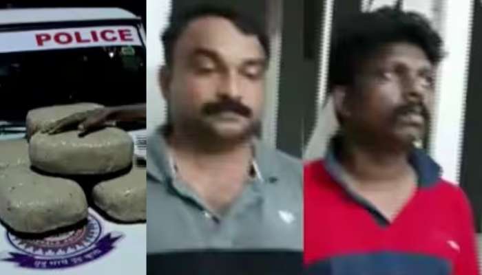 Cannabis seized: കൊല്ലത്ത് വൻ കഞ്ചാവ് വേട്ട; 53 കിലോ കഞ്ചാവ് പിടികൂടി, രണ്ട് പേർ പിടിയിൽ