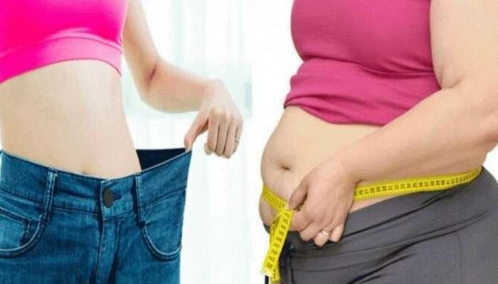 Weight Loss Diet: തടി കൂടുന്നത് തടയാൻ ഈ സ്‌നാക്സ് പരീക്ഷിക്കൂ, തയ്യാറാക്കാനും എളുപ്പം!