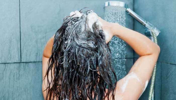 Hair Wash: മുടി കഴുകാന്‍ ഈ ദിവസം ഏറ്റവും ശുഭം, ലക്ഷ്മിദേവി കൃപ വര്‍ഷിക്കും