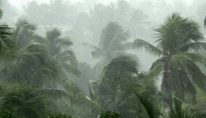 Kerala Monsoon Prediction: സംസ്ഥാനത്ത് ശരാശരിക്കും മുകളിൽ മഴക്ക് സാധ്യത; കാലാവസ്ഥാ കേന്ദ്രത്തിന്റെ മൺസൂൺ പ്രവചനം