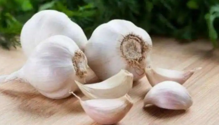 Garlic Health Benefits: അമിതവണ്ണം മുതൽ ഉയർന്ന രക്തസമ്മർദ്ദം വരെ; വെളുത്തുള്ളി കഴിച്ചാലുള്ള ആരോ​ഗ്യ​ഗുണങ്ങൾ അറിയാം