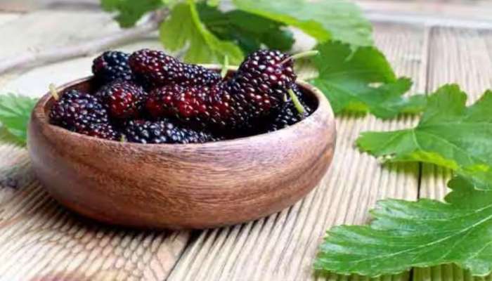 Mulberry Health Benefits: ഹൃദയാരോ​ഗ്യം മുതൽ കാൻസർ പ്രതിരോധം വരെ; കുഞ്ഞൻ മൾബറിക്ക് ചെറുതല്ല ​ഗുണങ്ങൾ