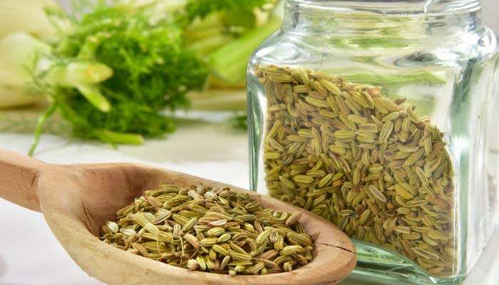 Fennel Seed Water: പെരുംജീരകം വെള്ളത്തിനുണ്ട് ഏറെ ഗുണങ്ങള്‍, പ്രമേഹം കുറയ്ക്കാനും ദഹനം മെച്ചപ്പെടുത്താനും ഉത്തമം