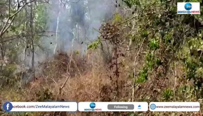 Wildfire in Narikkuni