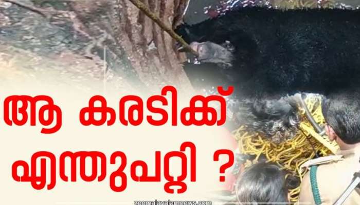 ആ കരടിക്ക് എന്ത് സംഭവിച്ചു? മണിക്കൂറുകൾക്കൊടുവിൽ....