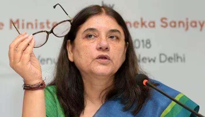 Maneka Gandhi: കേരളത്തിലേത് ഏറ്റവും മോശം വനംവകുപ്പ്, കേരളം ഇന്ത്യയെ നാണംകെടുത്തുന്നു; കരടിയ്ക്കുവേണ്ടി ശബ്ദമുയര്‍ത്തി മേനക ഗാന്ധി 