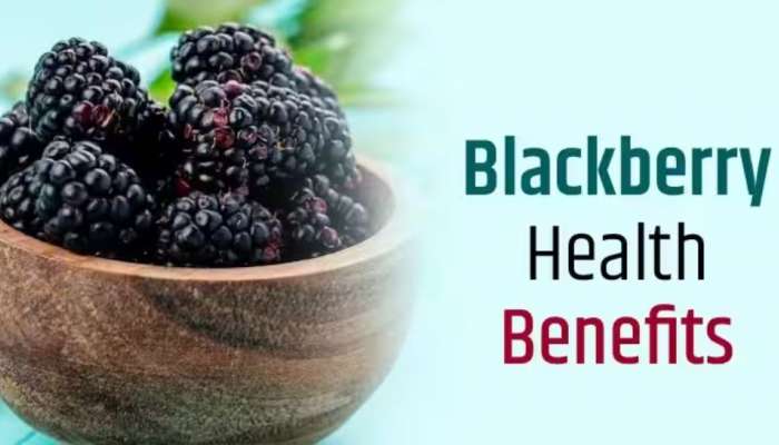 Blackberry Health Benefits: പോഷകങ്ങളാൽ സമ്പുഷ്ടം; അറിയാം ബ്ലാക്ക് ബെറിയുടെ ​ഗുണങ്ങൾ