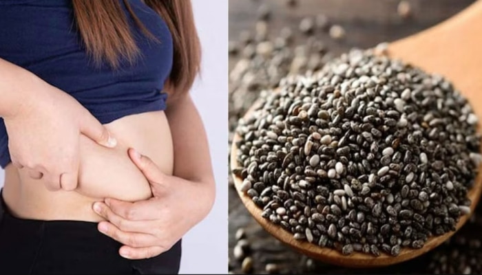 Chia seeds side effects: തടി കുറയ്ക്കാൻ ഇവൻ ബെസ്റ്റാ...പക്ഷെ അധികം കഴിച്ചാൽ പണികിട്ടും   