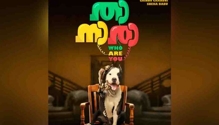 Thaanaara Movie : റാഫിയുടെ തിരക്കഥയിൽ ഹരിദാസ് സംവിധാനം ചെയ്യുന്ന, 'താനാരാ' എന്ന ചിത്രത്തിന്റെ ചിത്രീകരണം പൂർത്തിയായി