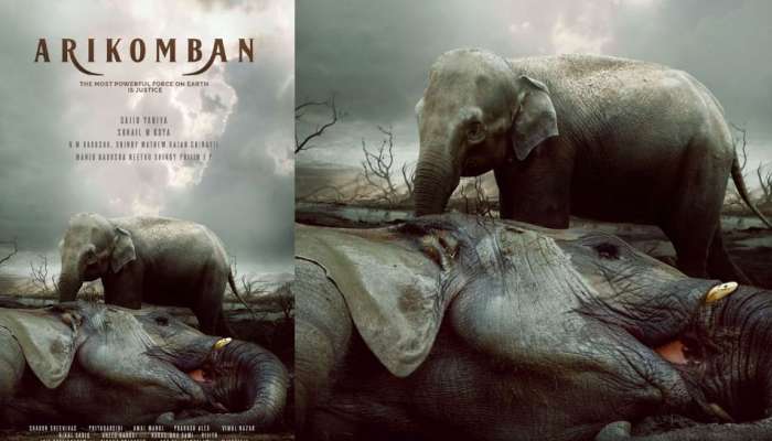 Arikomban Movie: ഇടുക്കിയെ വിറപ്പിച്ച കൊമ്പൻ; "അരികൊമ്പൻ" സിനിമയാകുന്നു