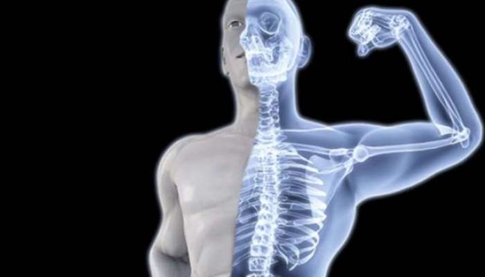Calcium Foods: പാല്‍ കുടിയ്ക്കാന്‍ മടി? കാൽസ്യത്തിന്‍റെ കുറവ് പരിഹരിക്കും ഈ ഭക്ഷണ പദാര്‍ത്ഥങ്ങള്‍ 