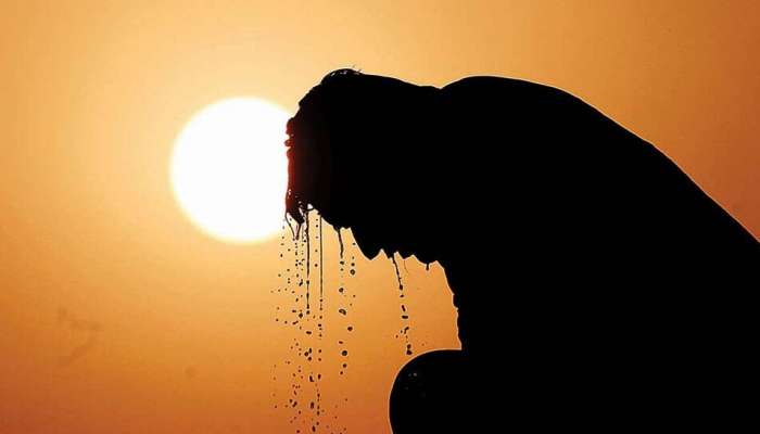 Heatwave: ഹീറ്റ് സ്ട്രോക്ക് പ്രധാന ലക്ഷണങ്ങൾ, ഒഴിവാക്കാൻ ശ്രദ്ധിക്കേണ്ട കാര്യങ്ങള്‍ 