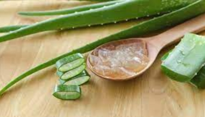 Aloe Vera Benefits: വേനൽക്കാല ചർമ്മ സംരക്ഷണം കറ്റാർ വാഴയിലൂടെ; ​ഗുണങ്ങൾ ഏറെ