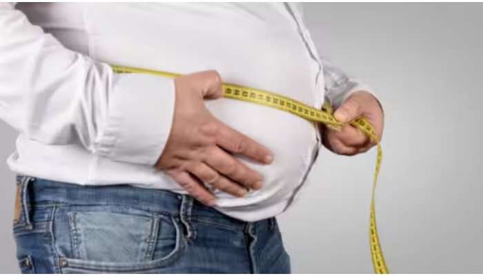 Overweight: അമിതഭാരം നിങ്ങളെ അലട്ടുന്നുണ്ടോ? പ്രഭാതഭക്ഷണത്തിൻ്റെ സമയം ഇങ്ങനെ മാറ്റി നോക്കൂ!