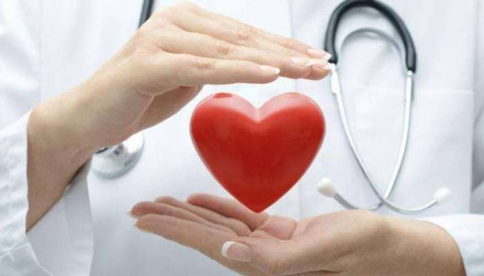 Heart Health In Summer: വേനൽക്കാലത്തെ ഹൃദയാരോ​ഗ്യം; മറക്കാതിരിക്കാം ഇക്കാര്യങ്ങൾ