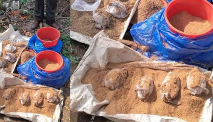 Bomb Found: കണ്ണൂരിൽ ഉഗ്രശേഷിയുള്ള 8 നാടൻബോംബുകൾ ചാക്കിൽ കെട്ടിയ നിലയിൽ കണ്ടെത്തി
