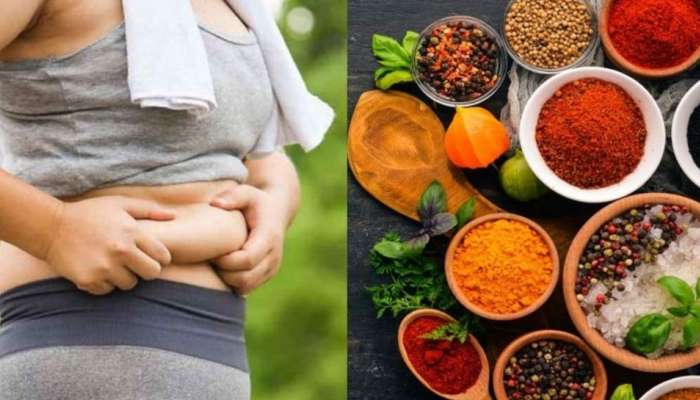 Weight Loss Spices: ഈ 4 മസാലകൾ ഉപയോഗിച്ചോളൂ, ശരീരഭാരം വെണ്ണപോലെ ഉരുകും!