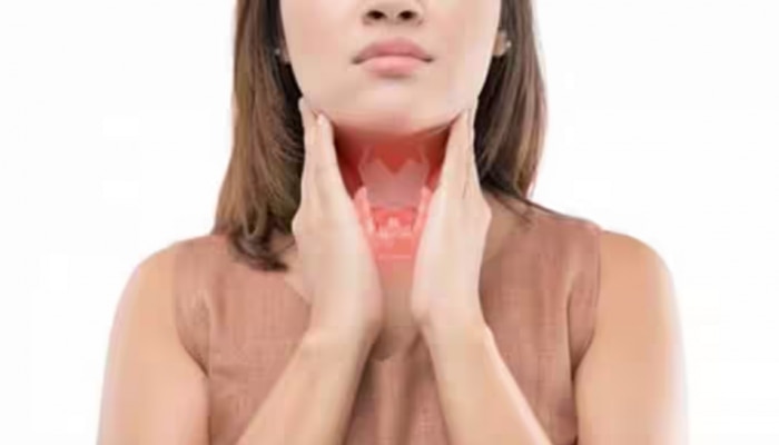 Thyroid Issues: തൈറോയിഡ് പ്രശ്നങ്ങൾ അലട്ടുന്നുവോ? പ്രതിവിധിയുണ്ട്