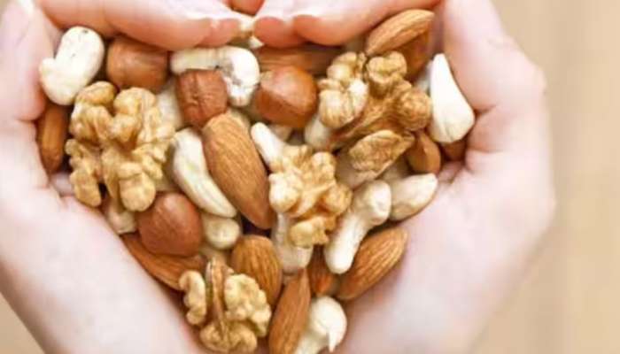 Cholesterol: എച്ച്ഡിഎൽ കൊളസ്ട്രോൾ വർധിപ്പിക്കാൻ കഴിക്കാം ഈ ഭക്ഷണങ്ങൾ