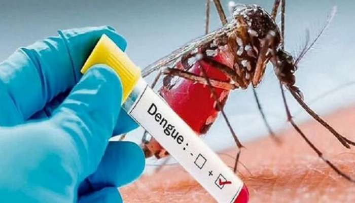 Dengue Fever: സംസ്ഥാനത്ത് ഡെങ്കിപ്പനി പടരുന്നു; എറണാകുളം ജില്ലയില്‍ 11 ദിവസത്തിനിടെ റിപ്പോർട്ട് ചെയ്തത് ആറ് മരണം