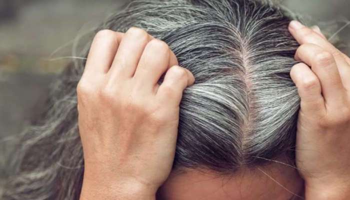 Fenugreek For White Hair: വിവാഹപ്രായത്തിൽ വെളുത്ത മുടി? പോംവഴിയുണ്ട്