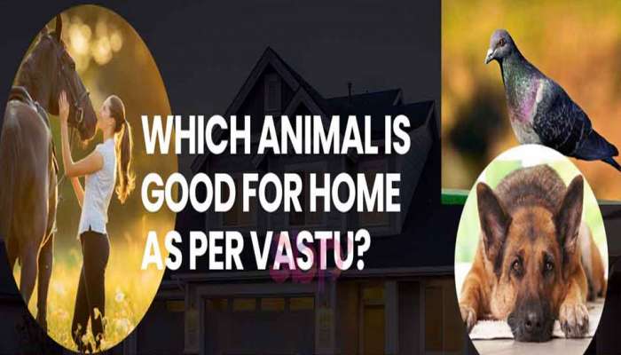 Animal Vastu: ഇവയെ വളര്‍ത്താം, ഭാഗ്യം നല്‍കും ഈ 5 മൃഗങ്ങള്‍!!  