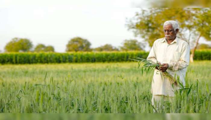 Farmer Scheme Big Update When PM Kisan 14th Instalment Released ...