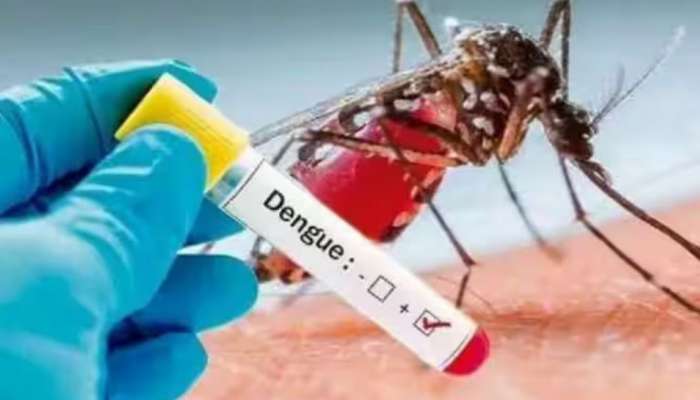 Dengue Fever: സംസ്ഥാനത്ത് ഡെങ്കിപ്പനി പടരുന്നു; ഇതുവരെ രോഗം സ്ഥിരീകരിച്ചത് 877 പേർക്ക്