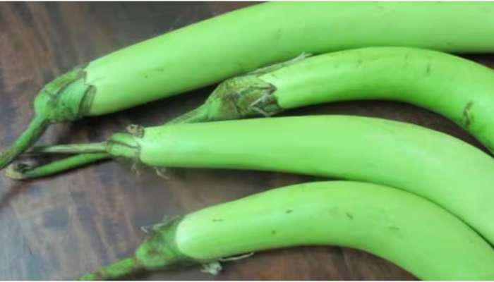 Green brinjal: പച്ച വഴുതന അത്ര നിസാരക്കാരനല്ല; ദിവസവും കഴിച്ചാൽ ഗുണങ്ങളേറെ! 