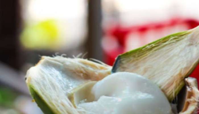 Coconut Malai Health Benefits: കോക്കനട്ട് മലായ്... രുചികരവും ​ഗുണപ്രദവും; ചൂടിനെ നേരിടാൻ ഒരു ടേസ്റ്റി ട്രീറ്റ്