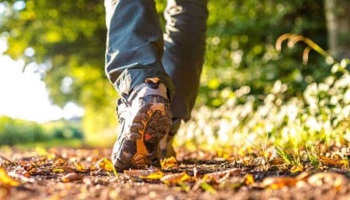 Benefits of walking: ഭക്ഷണം കഴിച്ചതിന് ശേഷം അൽപം നടക്കാം... നിരവധിയാണ് ​ഗുണങ്ങൾ