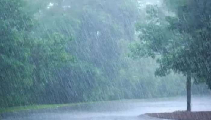 Rain alert: കേരളത്തിൽ വീണ്ടും ശക്തമായ  മഴ; അഞ്ച് ജില്ലകളിൽ യെല്ലോ അലർട്ട്