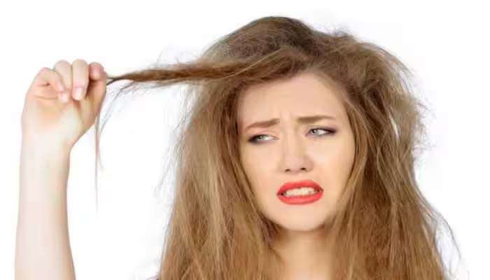 Monsoon Hair Care: മണ്‍സൂണ്‍ കാലത്ത് നല്‍കാം മുടിയ്ക്ക് കൂടുതല്‍ പരിചരണം