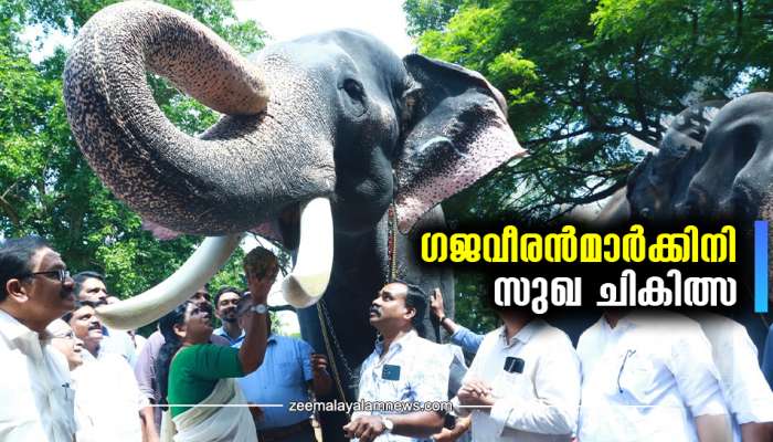 3690 കിലോ അരി,1230 കിലോ ചെറുപയർ മരുന്നുകൾ വേറെ: ഗുരുവായൂരപ്പൻറെ ഗജവീരൻമാർക്കിനി സുഖ ചികിത്സ