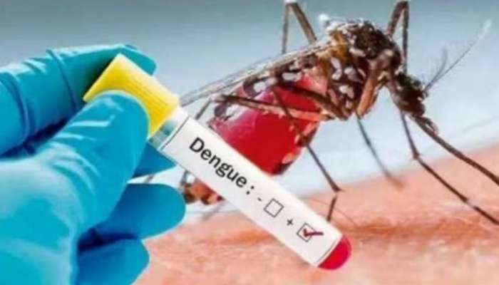 Dengue Fever: ഒരു മാസത്തിനിടെ പകർച്ചപ്പനി ബാധിച്ച് മരിച്ചത് 86 പേർ; 138 ഡെങ്കി ബാധിത മേഖലകൾ