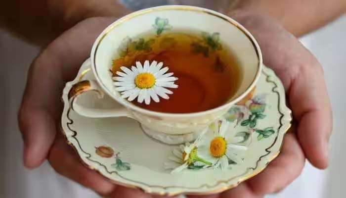 Best Tea for Diabetes: പ്രമേഹരോഗികള്‍ക്ക് ഉത്തമം ഈ 5 ചായകള്‍, ഗുണങ്ങള്‍ അറിയാം