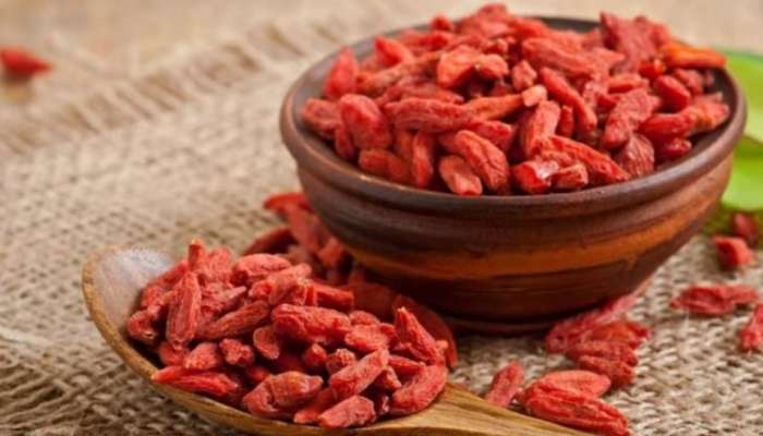 Goji Berries Benefits: വിദേശിയായ ഗോജി ബെറി പോഷകങ്ങളാൽ സമ്പന്നം; അറിയാം ​ഗോജി ബെറിയുടെ ​ഗുണങ്ങൾ