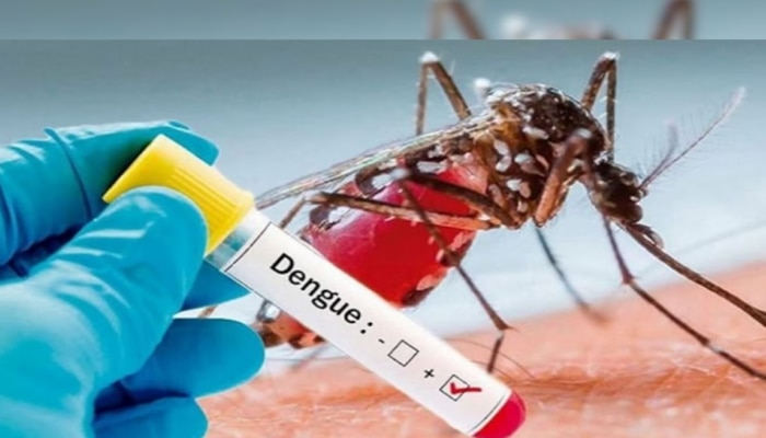 Dengue Fever: ശ്രദ്ധിക്കൂ..! ഡെങ്കിപനി പടർന്നുകൊണ്ടിരിക്കുന്നു; ഈ ലക്ഷണങ്ങൾ ഉണ്ടോ?