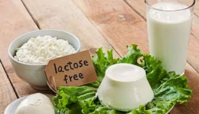 Lactose Intolerance: പശുവിൻ പാലും പാൽ ഉത്പന്നങ്ങളും കഴിച്ചാൽ അസ്വസ്ഥത തോന്നാറുണ്ടോ? ഇതാകാം കാരണം