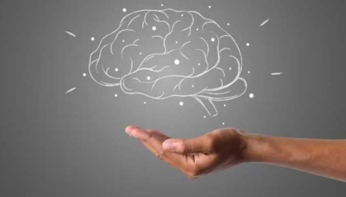World Brain Day 2023: ലോക മസ്തിഷ്ക ദിനം; മസ്തിഷ്കത്തിന്റെ ആരോ​ഗ്യത്തിന് ദൈനംദിന ശീലങ്ങളിൽ ശ്രദ്ധിക്കാം