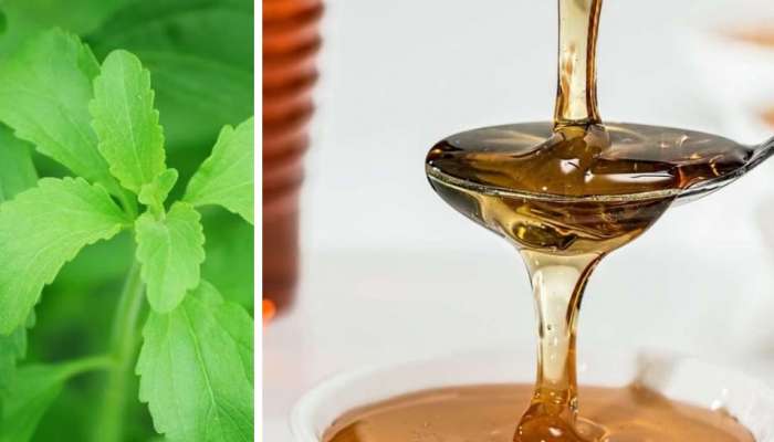 Sugar: പഞ്ചസാര ആരോ​ഗ്യത്തിന് വെല്ലുവിളി ഉയർത്തുന്നോ... ഈ ബദൽ മാർ​ഗങ്ങൾ പരീക്ഷിക്കാം