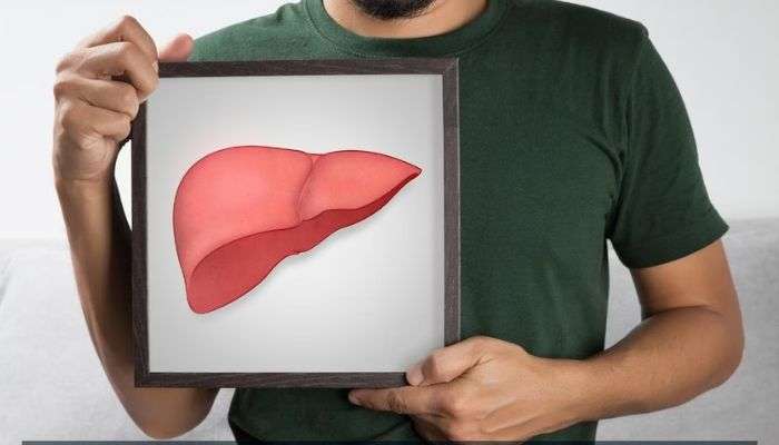 Fatty Liver: ഫാറ്റി ലിവർ ഉണ്ടാവുന്നതിന്‍റെ കാരണങ്ങള്‍, പരിഹാരമാര്‍ഗ്ഗങ്ങള്‍ അറിയാം  