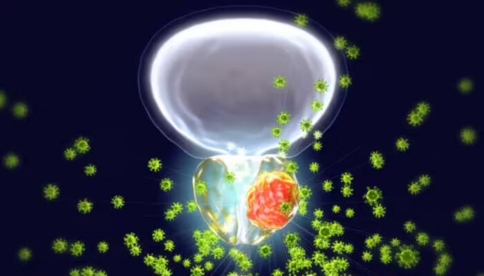 Prostate cancer: മൂത്രമൊഴിക്കുമ്പോൾ നിങ്ങൾക്ക് അസ്വസ്ഥതയുണ്ടോ? ഈ ക്യാൻസറിന്റെ ലക്ഷണമാകാം