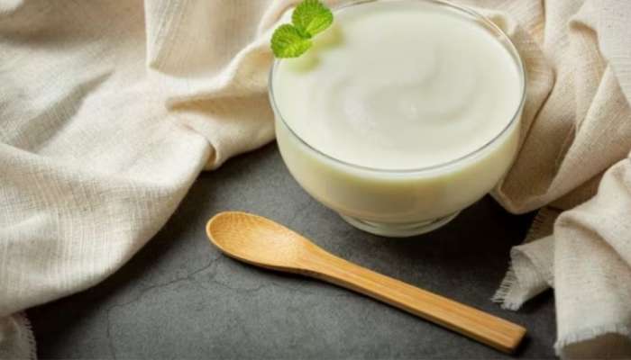 Curd Vs Yogurt: തൈരും യോ​ഗർട്ടും ഒന്നാണോ? ഇവയിൽ ശരീരഭാരം കുറയ്ക്കാൻ ഏതാണ് നല്ലത്?