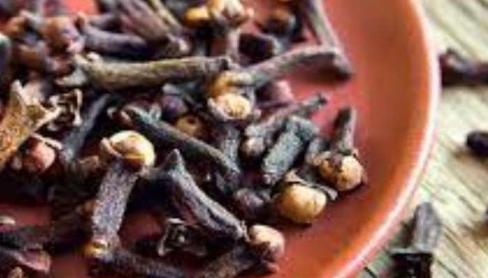 Cloves Benefits: ഗ്രാമ്പുവിൽ ഒളിഞ്ഞിരിപ്പുണ്ട് പുരുഷന്മാരുടെ ആരോഗ്യ രഹസ്യം, ഞൊടിയിടയിൽ പ്രശ്‌നങ്ങൾ മാറിക്കിട്ടും!