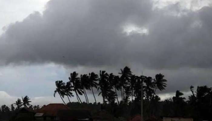 Kerala Weather Updates: സംസ്ഥാനത്ത് ശനിയാഴ്ച വരെ മഴ തുടരും; രണ്ട് ജില്ലകളിൽ യെല്ലോ അലർട്ട്